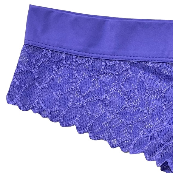 VS PINK 2016 Vintage Extra Low Rise Cheekster Semi-sheer Mesh Floral Print Panty - Picture 6 of 16